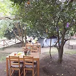 מלון Teo Hotel&pansion Çıralı