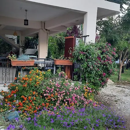 Hotell Teo Hotel&pansion