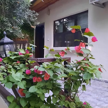 Teo Hotel&pansion * Çıralı