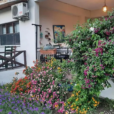 Hotell Teo Hotel&pansion Çıralı