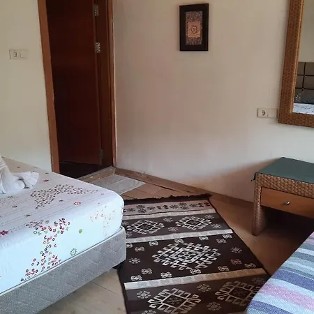 Hotel Teo Hotel&pansion *