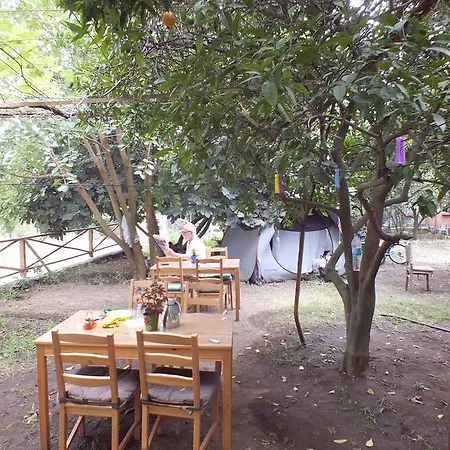 Hotell Teo Hotel&pansion Çıralı