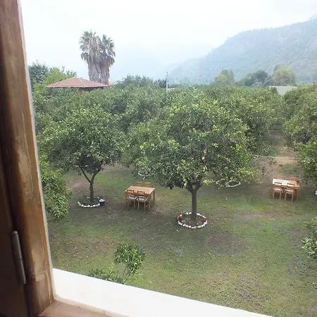 Teo Hotel&pansion Hotell *