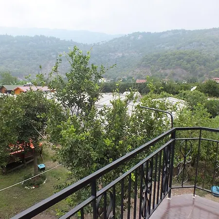 ホテル Teo Hotel&pansion Çıralı