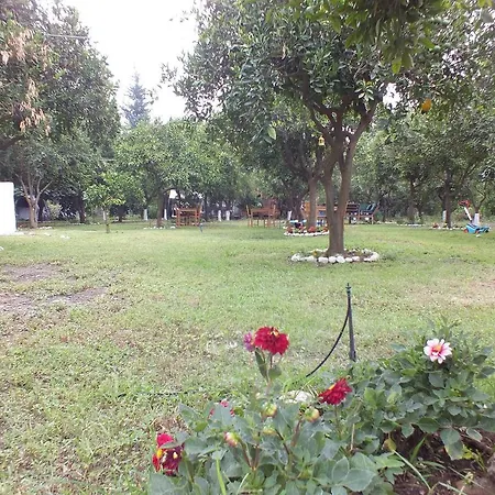 ホテル Teo Hotel&pansion Çıralı