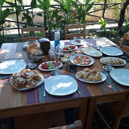 Teo Hotel&pansion ホテル *