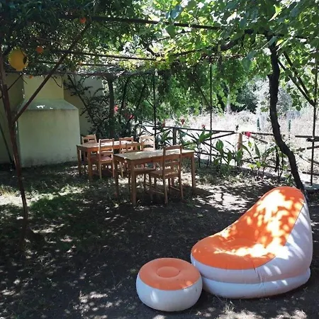 Teo Hotel&pansion ホテル *