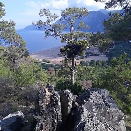 Teo Hotel&pansion ホテル